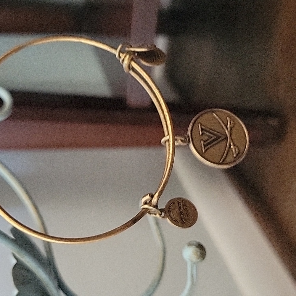 Alex and Ani brass University of Virginia logo charm bangle
